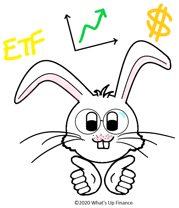 Informed rabbit after reading What's Up Finance